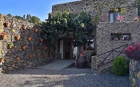 Finca Los Tamarillos